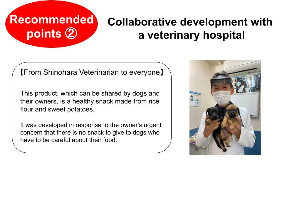 Japan additive-free vegan dog food pet biscuits snack cookie