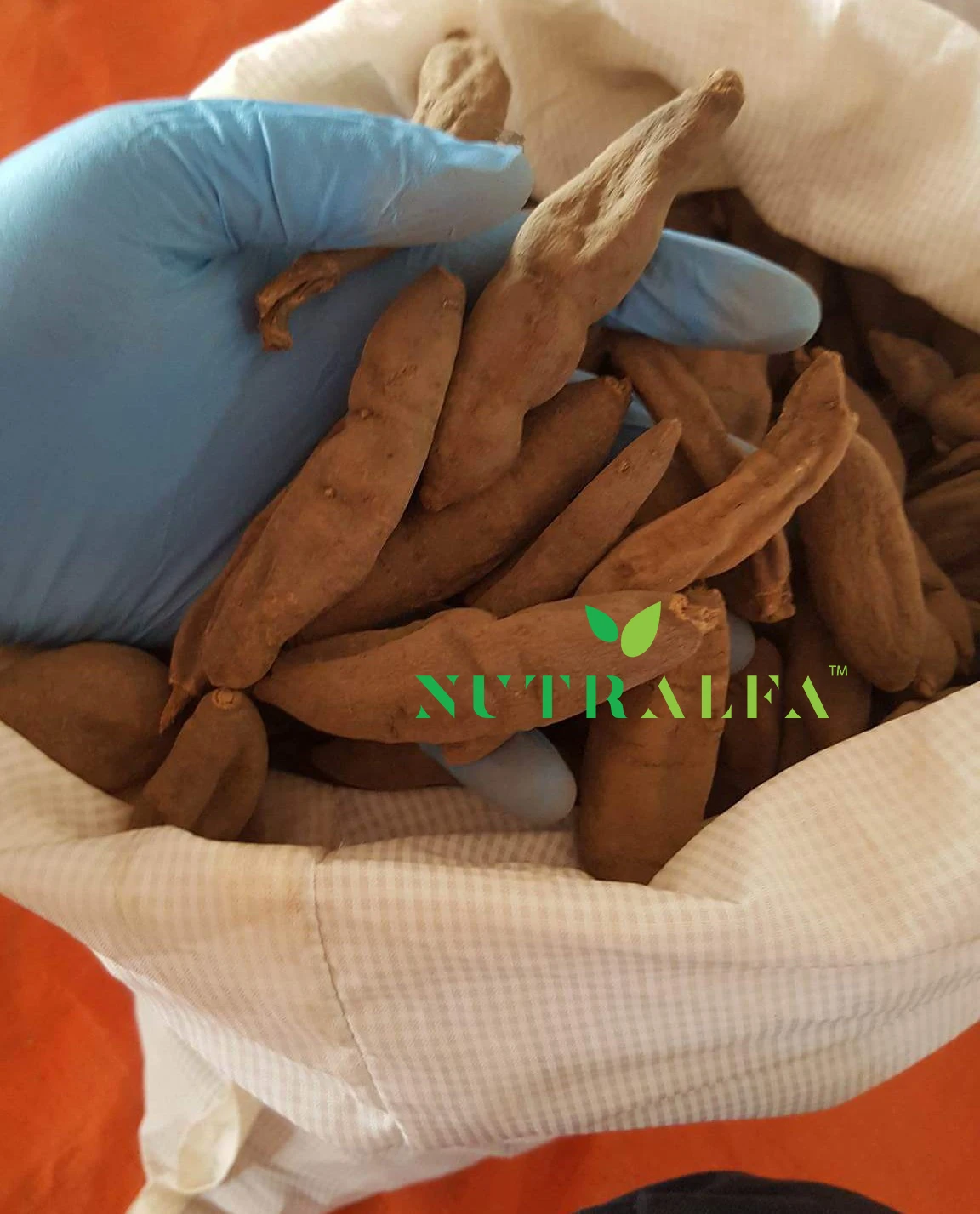 Pioenroos piwonia Best Quality roots herb ship everywhere in the world any packaging