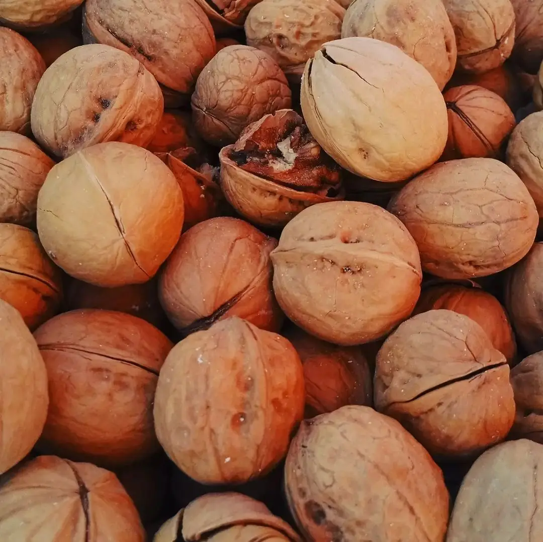 2021 crop Cheapest price Hard Shell Bulk Walnuts