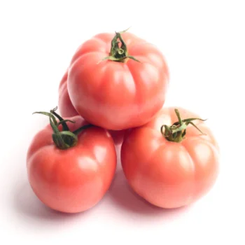 
Fresh Pink Tomatoes For Sale From Turkey 