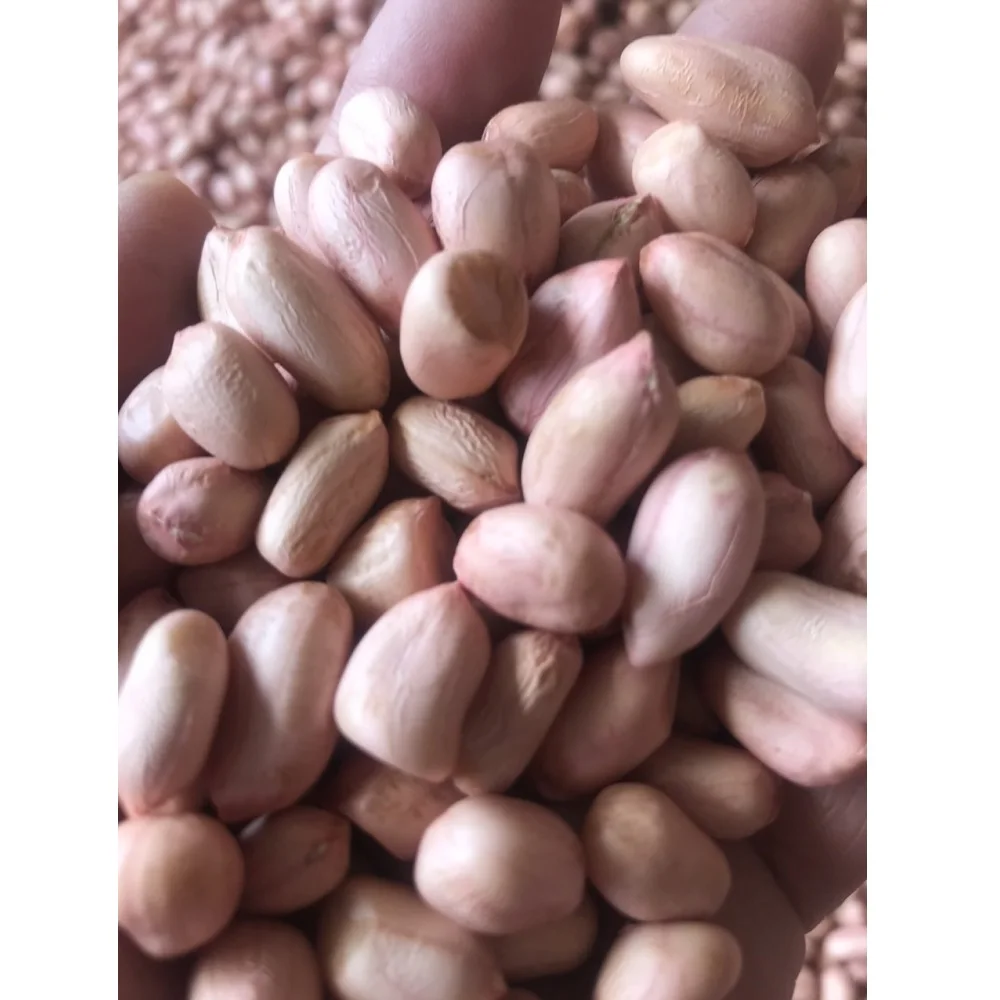 Сертификация HACCP вкусный свежий светло-розовый арахис с вакуумными упаковочными пакетами