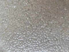 Wholesale Orsafarm Specialty Japanese Japonica Seed Rice (5kg) Round Rice High Protein Japonica Rice Short Grain for Sushi