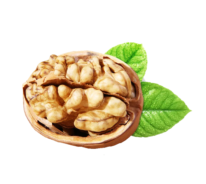 Walnut specialty nuts dried fruit delicious thin skin wallnut
