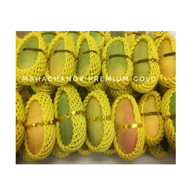 Supanij Thailand Premium Royal Delicious Sweet Mahachanok Mango Premium Quality for 100% Export
