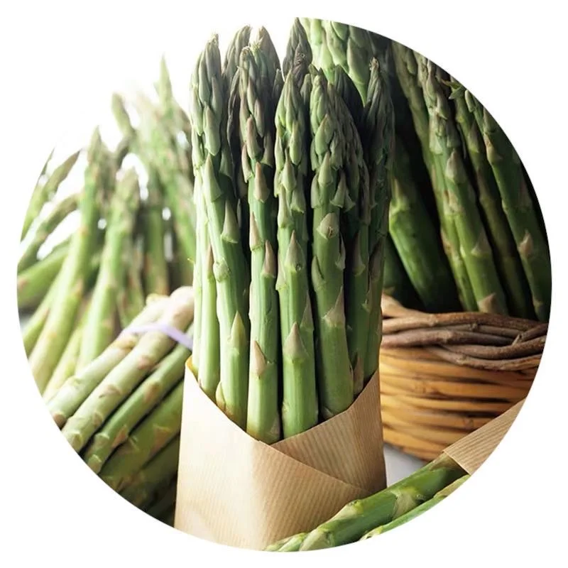 ASPARAGUS FRESH SIZE AA - MS. ELAINE +84 375 431 541