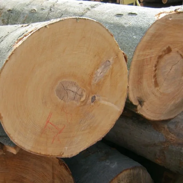 Beech Firewood Exporter - Beech Wood Firewood