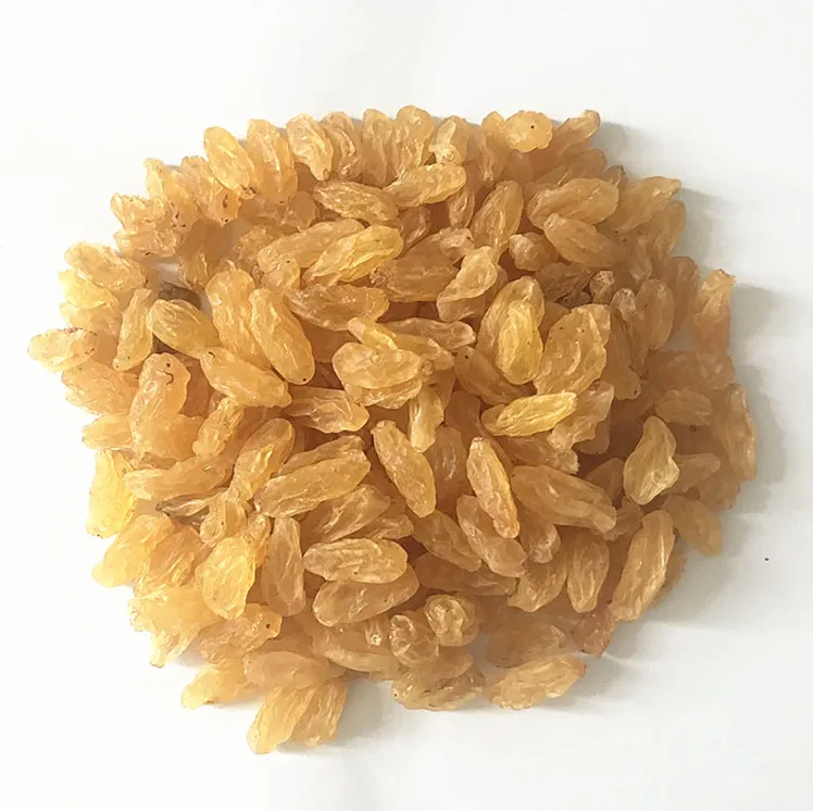 natural green dry fruit raisins all types of dried raisins