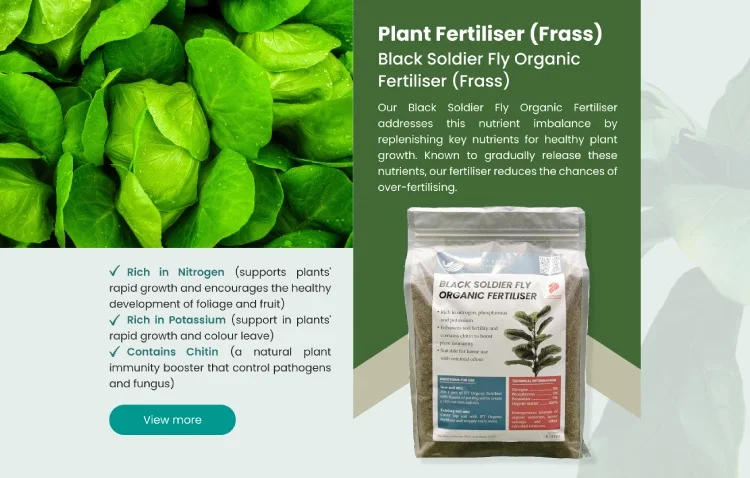 product category 2.jpg