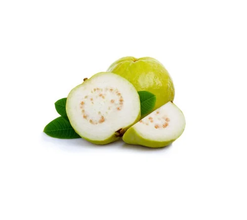 Sweet Crunchy fruits Rich in nutrient antioxidants High Vitamin C Fiber Organic fresh Guava From Malaysia
