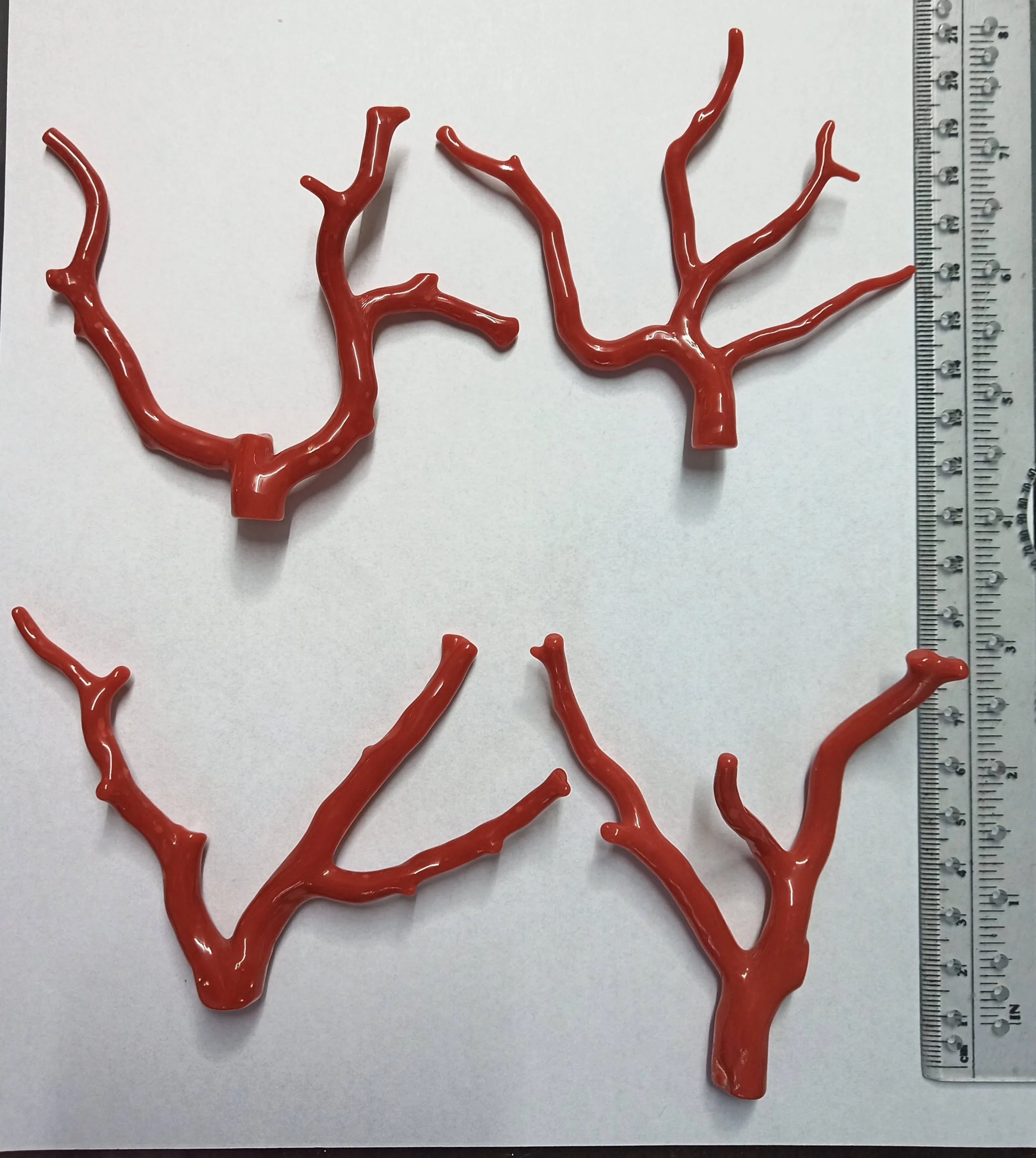 Red Coral Branches from mediterranean sea free size corallium rubrum from sardinia italy no cites required no minimum quantity