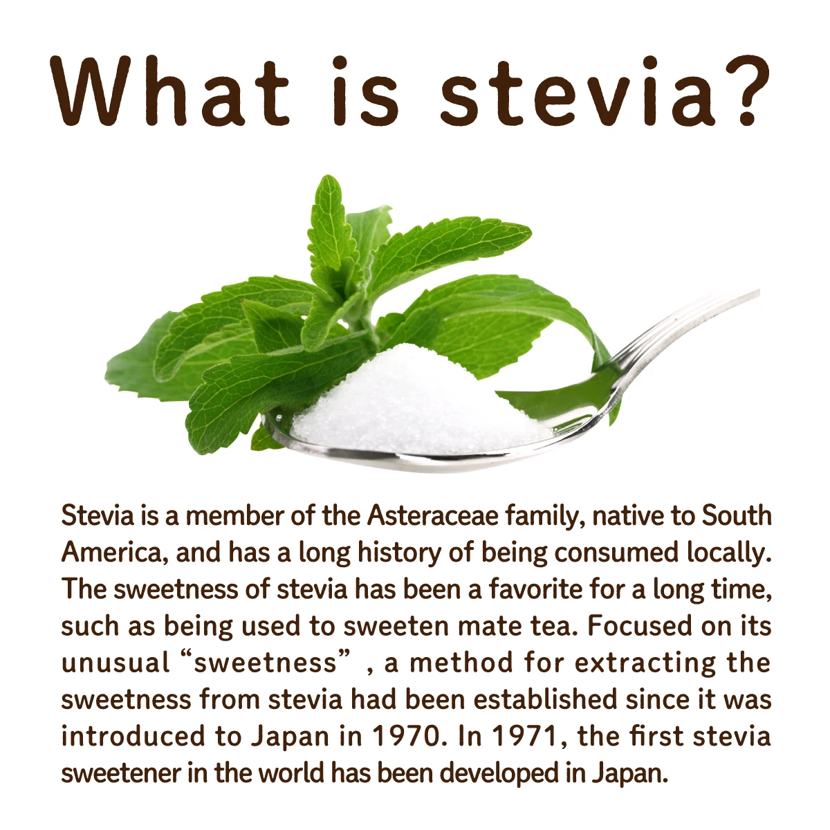 Erythritol and Stevia blend powder diet stevia sugar