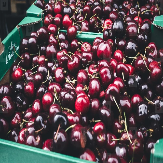 High Quality 2020 Fresh Cherries for export sweet cherry great quality cherry (1600168746219)