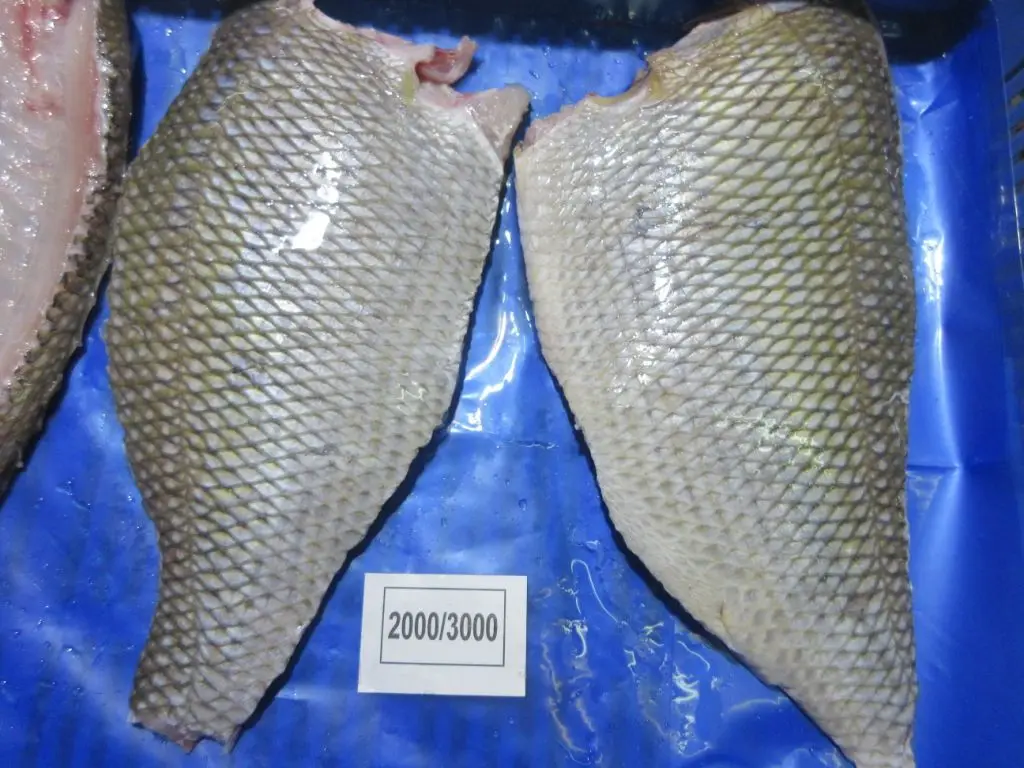 FROZEN EMPEROR FISH IQF