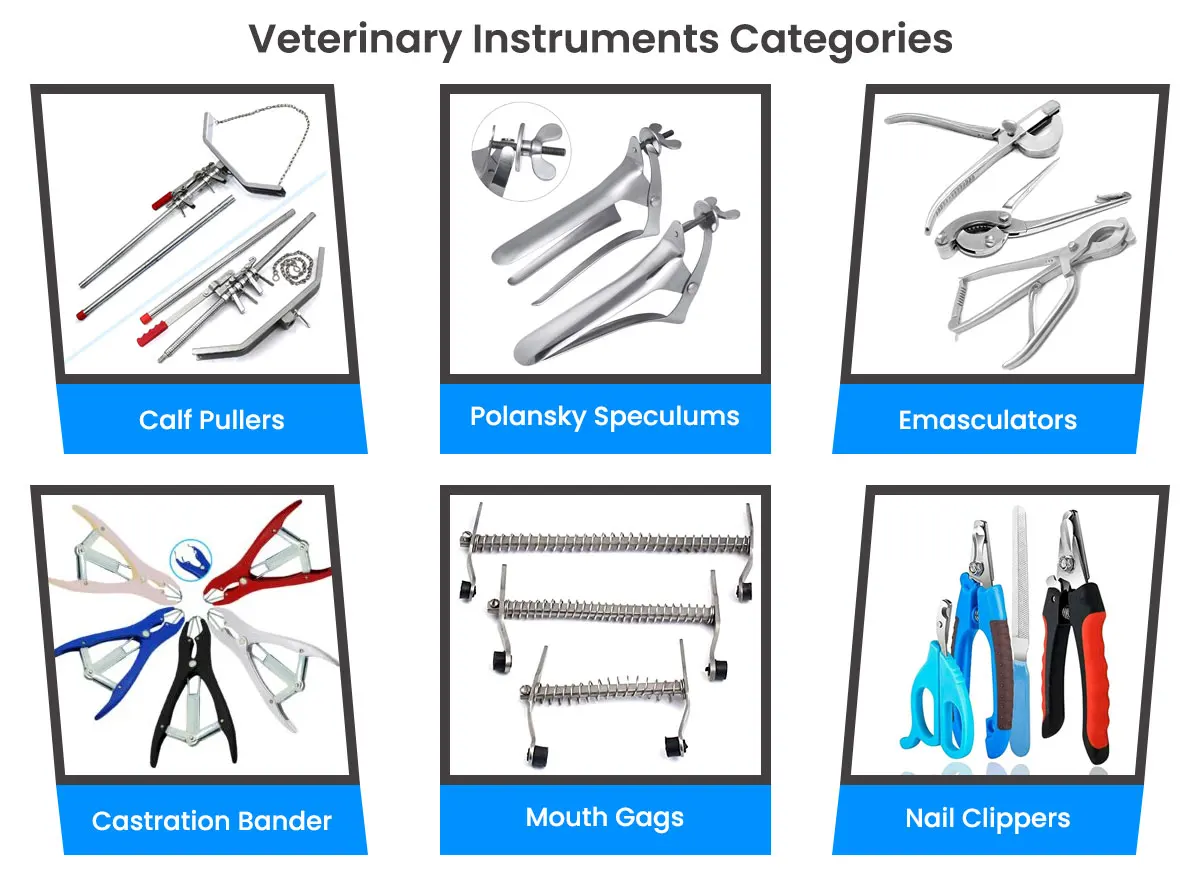 Veterinary-Inst-Categories.jpg