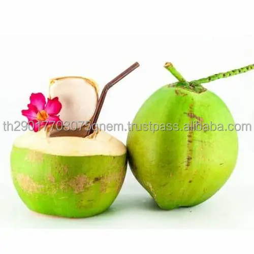 Premium Grade 100% Natural Coconut Young Coconut Fruit From Thailand