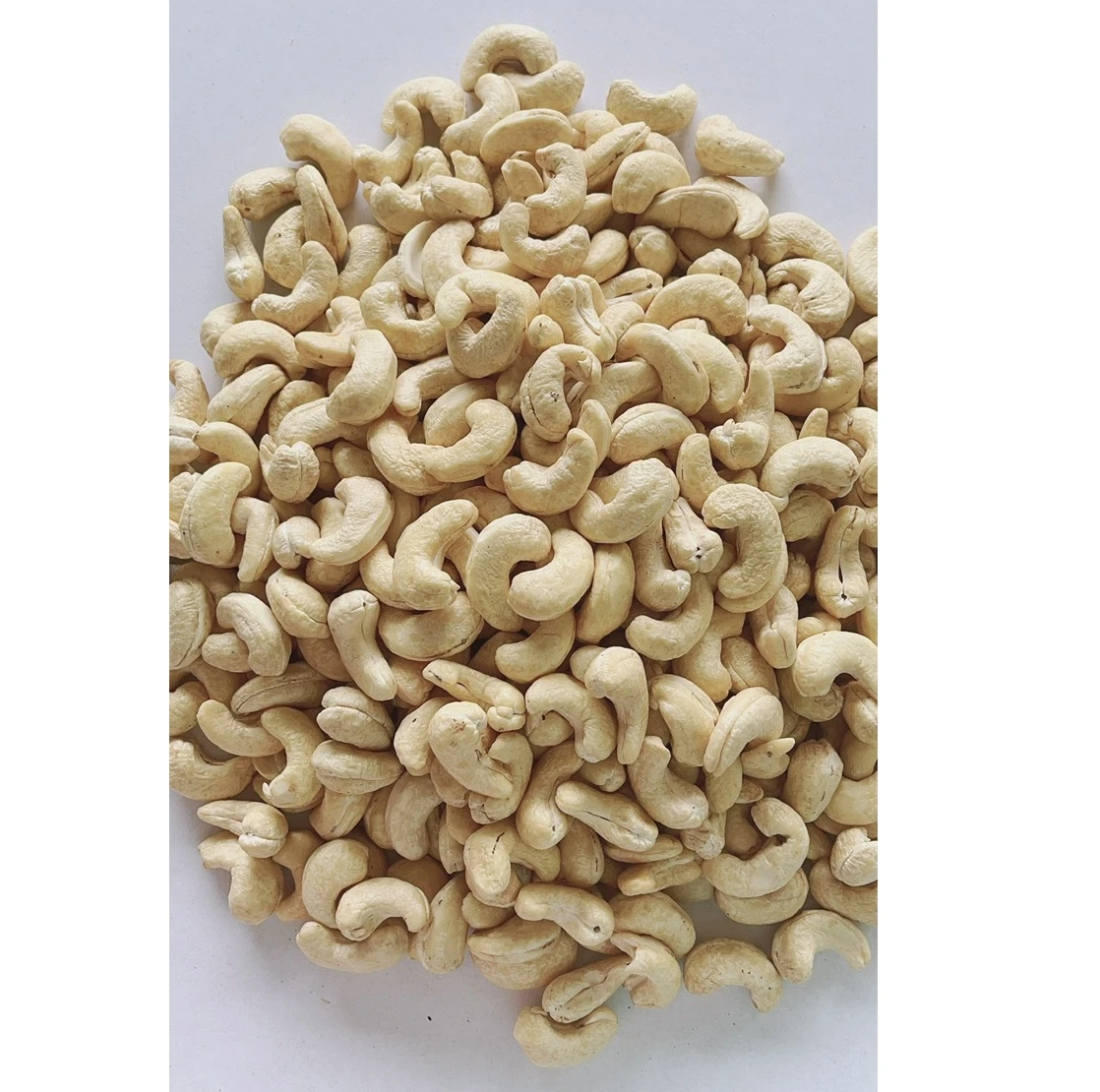 Food & beverage vietnam cashew nut Dried nuts snack raw cashew nuts in shell on sale