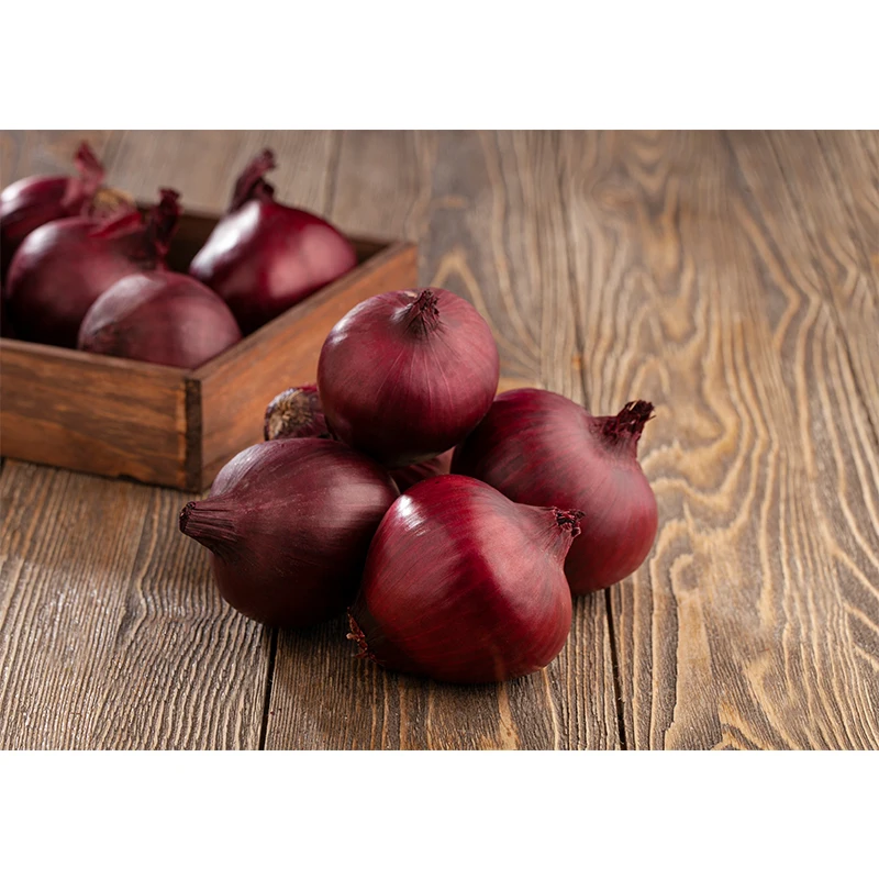 New Crop %100 Organic Onions Hot Sale Class A Onions Premium Quality Fresh Onion - Made in Turkey