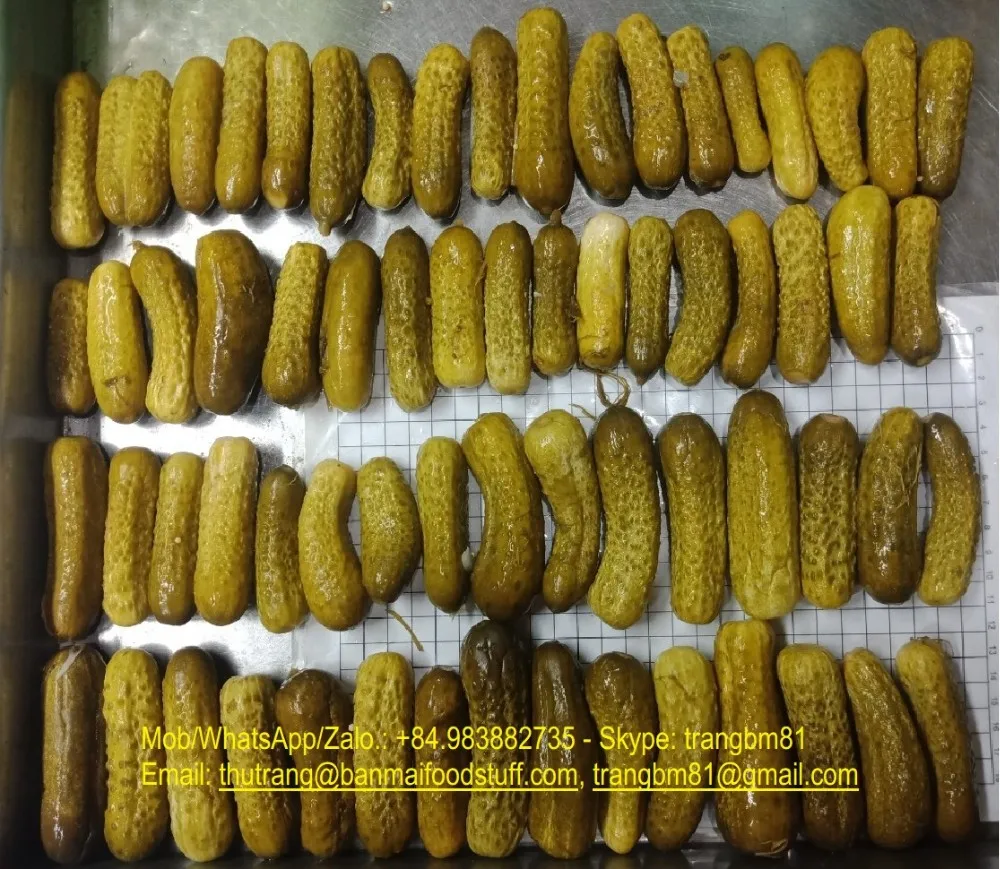 Vietnamese canned Pickled Cornichons/ CUCUMBER/ gherkin in A10 tin Sour Crunchy Taste BAN MAI PRIVATE BRAND COMPETITIVE PRICES