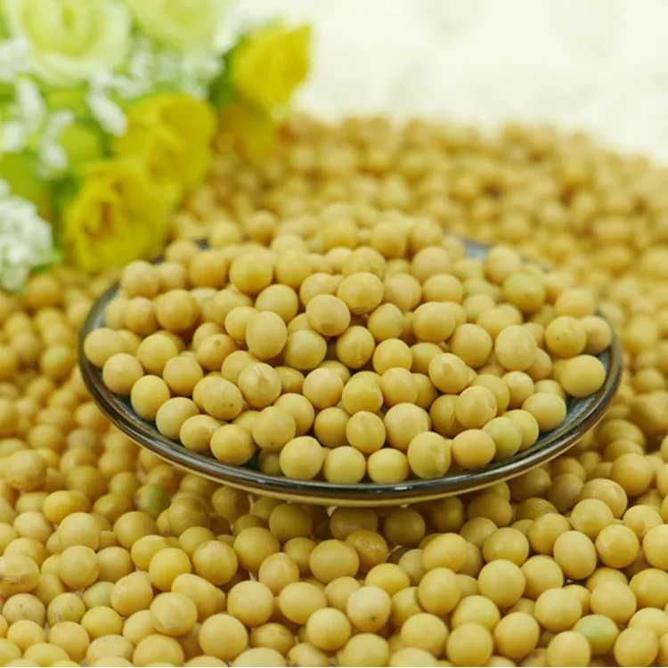 NON-GMO Soya Beans Soybeans United Kingdom