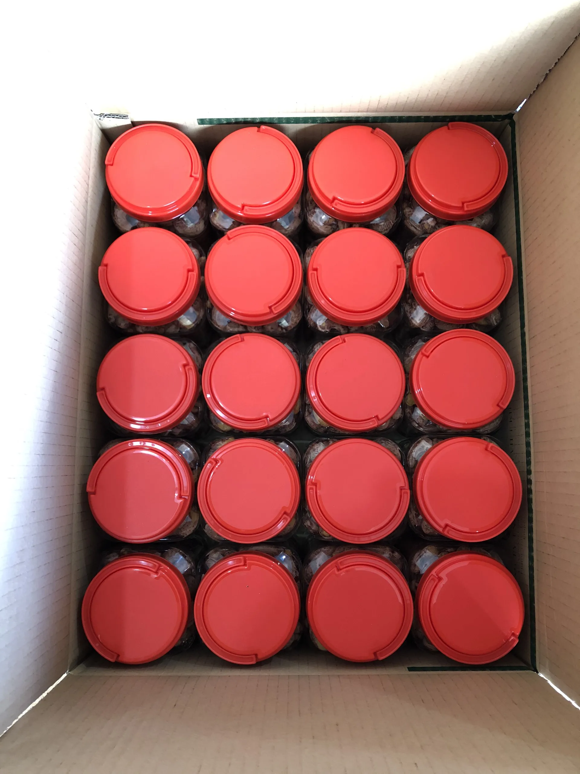 
Reputable And Standard Company In Vietnam Portable Premium Good 315Gr Roasted Cashew Nuts With NW Plastic Box Hot Sell In Asia 