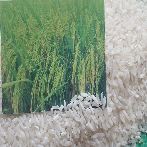 GOOD PRICE LONG GRAIN RICE 5% BROKEN WITH HIGH QUALITY