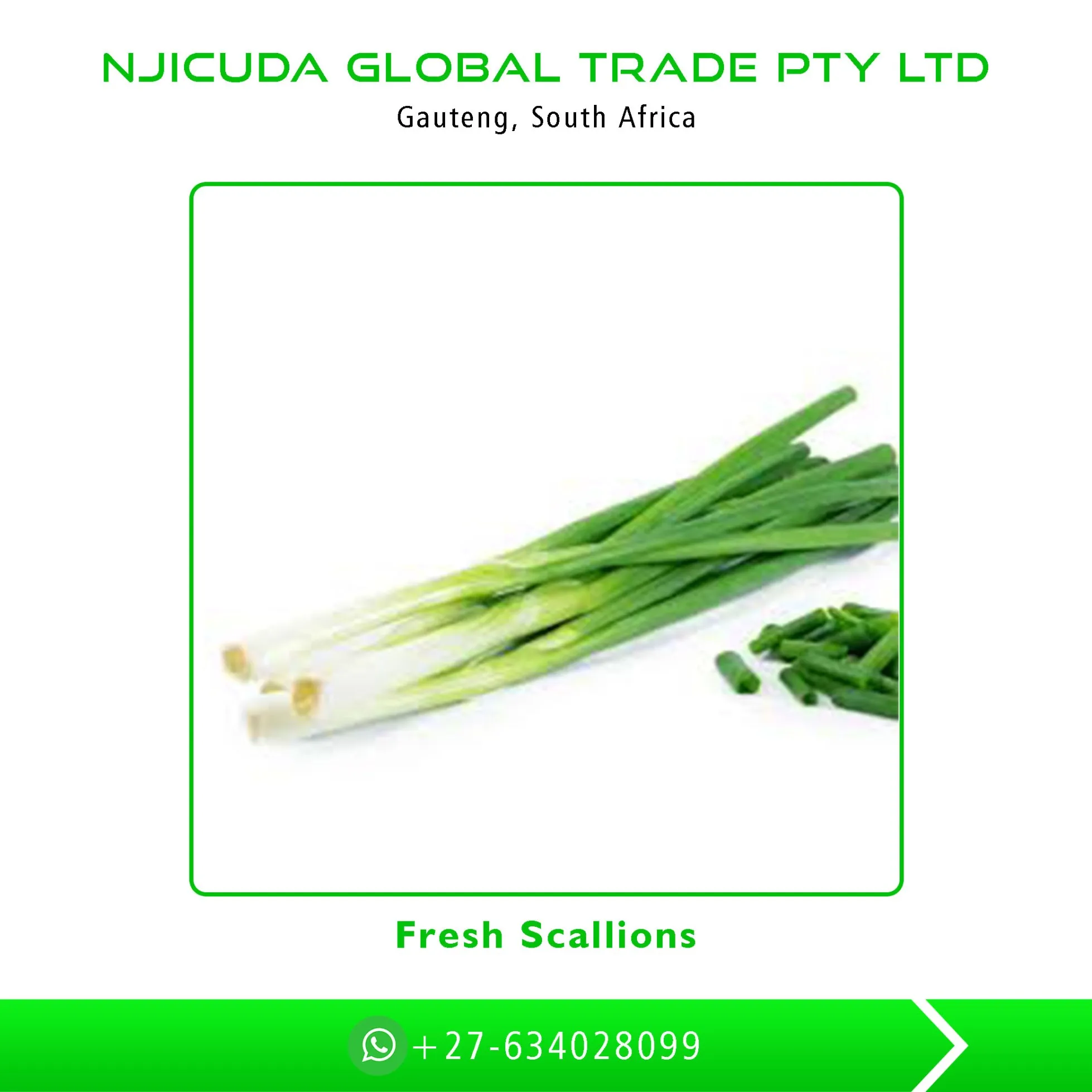 
Leading Exporter of Bulk Sale Fresh Scallions at Low Price 