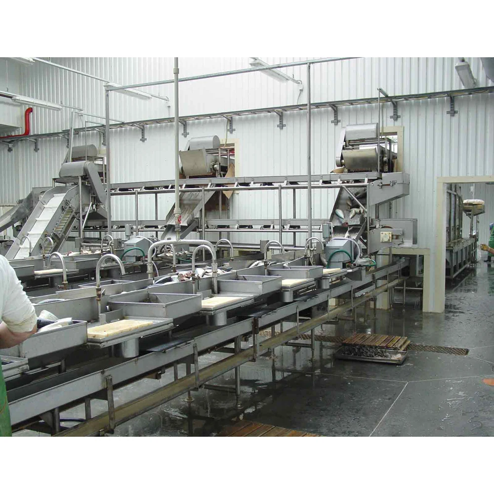 Great quality conveyor for fish processing plant, food processing machinery