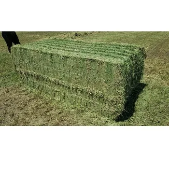 Гранулы Alfalfa дегидрация трава alfalfa сено корм для
