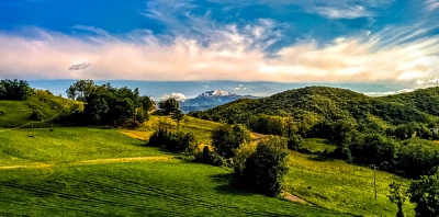 
High Quality Parmigiano Reggiano Italian Cheese 60 Months 4,5 kg 
