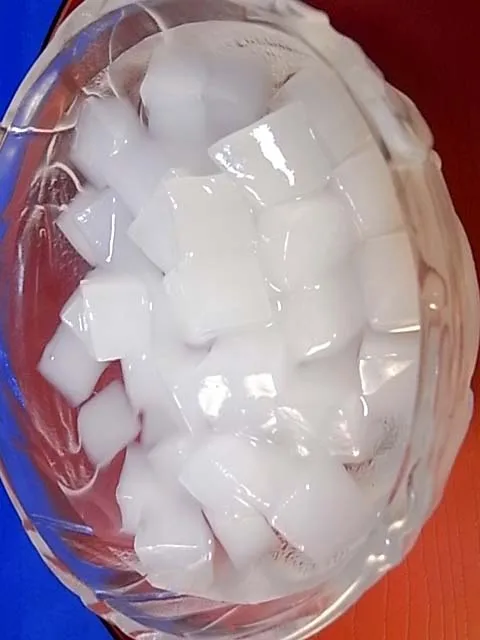 Vietnam top supplier high quality nata de