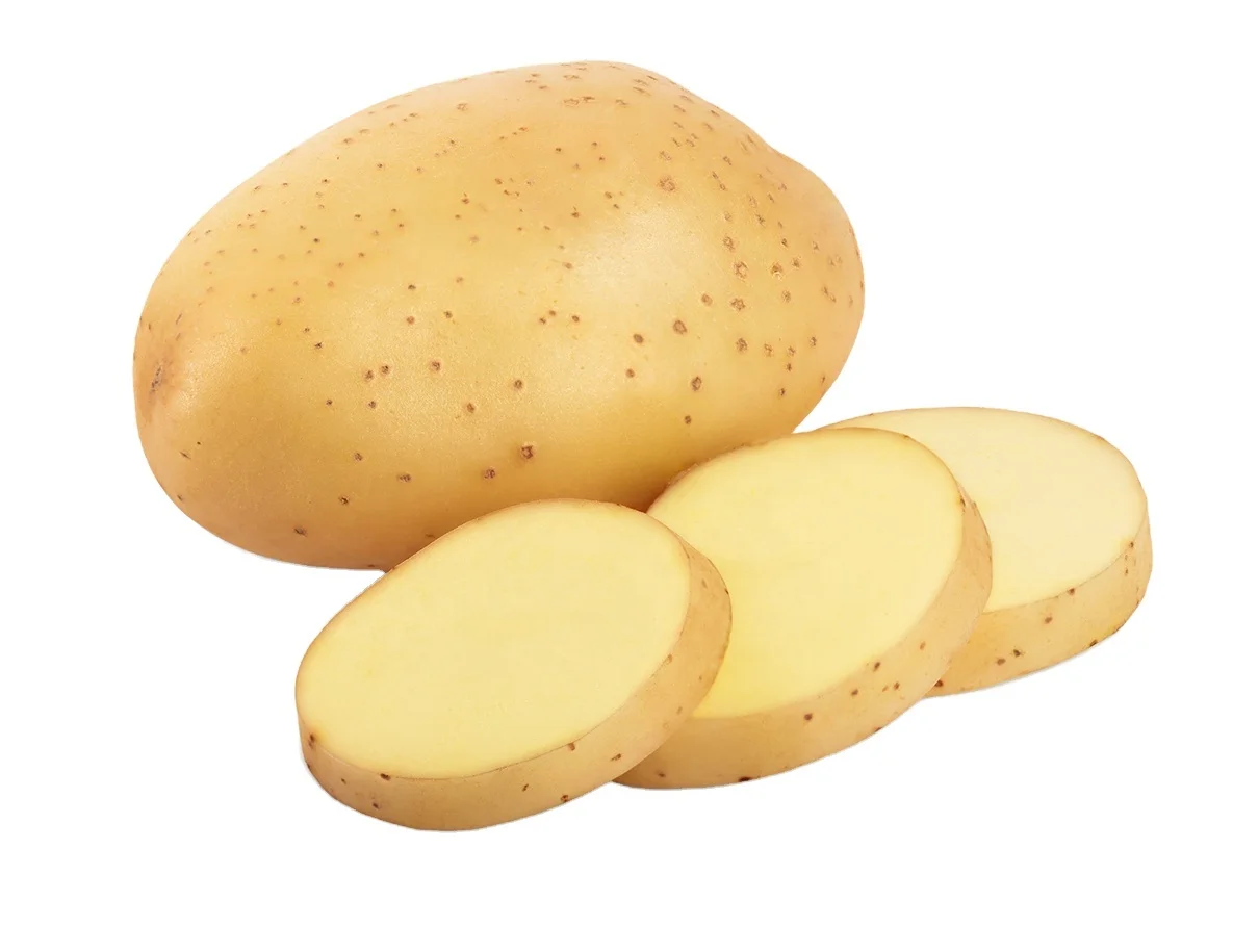 Лучший поставщик картофеля по всему миру/Голландия/мозика/Леди Розетта/большой коричневый картофель Санта для продажи