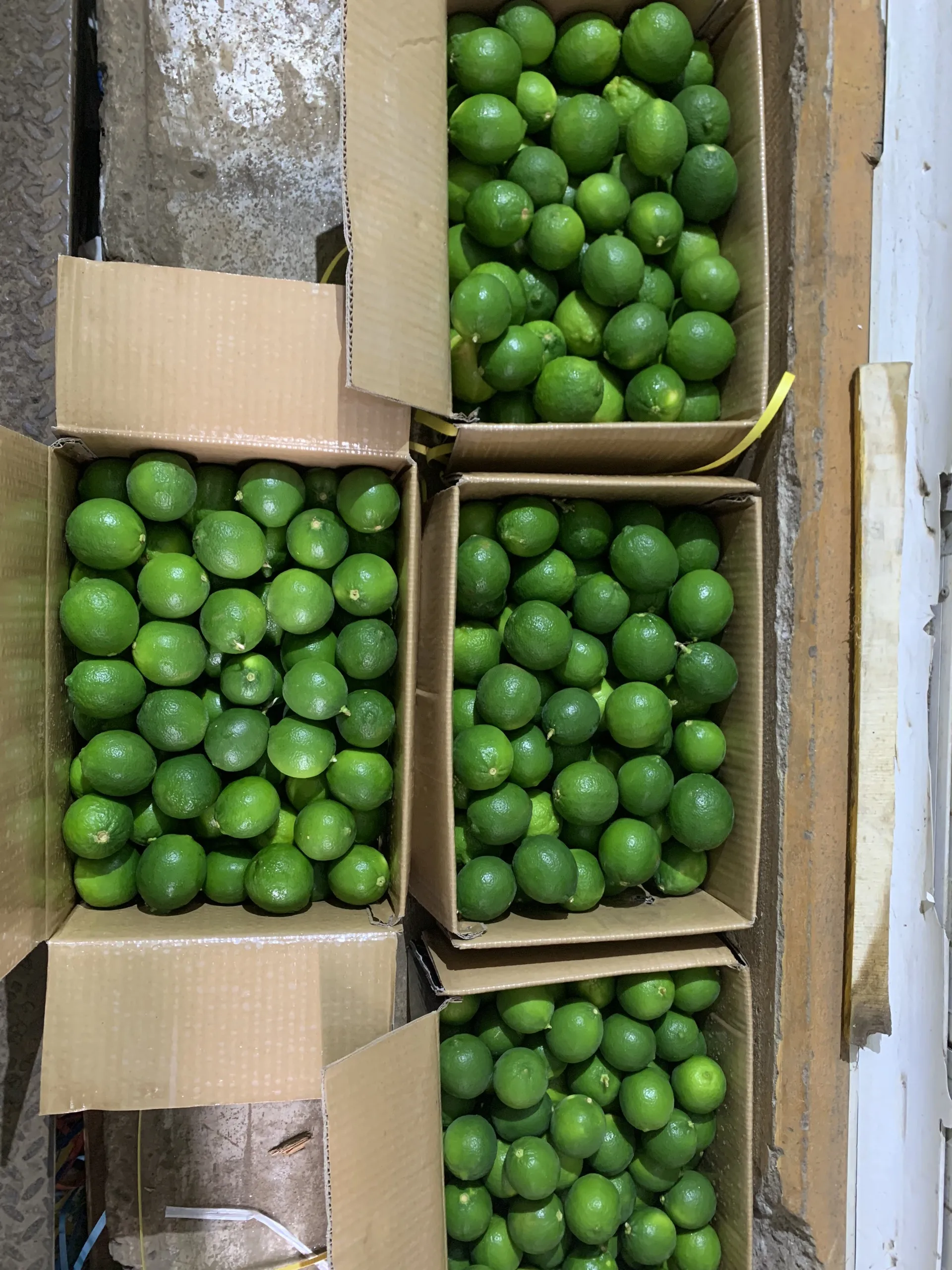 Year Round Lime seedless Viet Nam Fresh Lemon bulk Cheap price OEM/ODM custom package