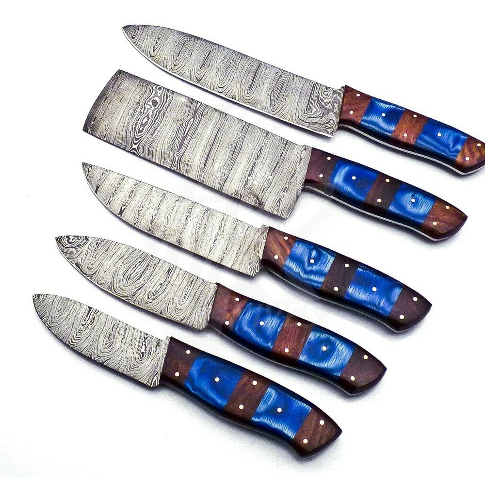 6 pieces Custom handmade Damascus chef knives set with knives sheath/cover