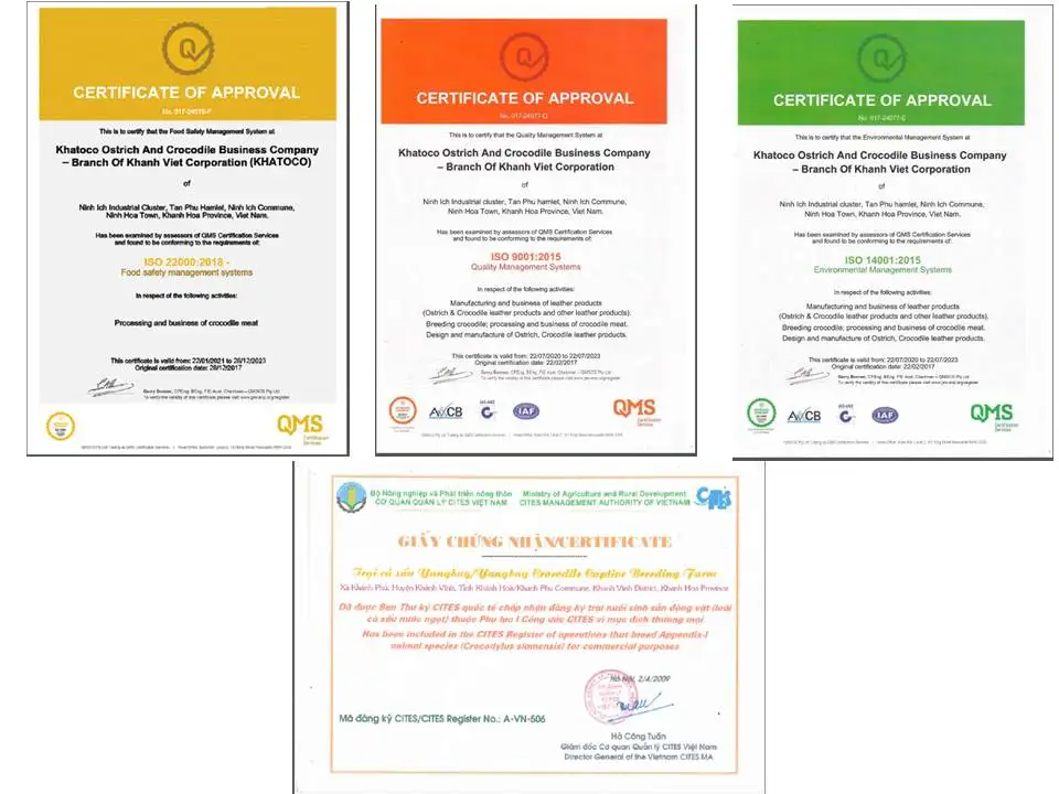 Высококачественный новый дизайн мужской ремень из натуральной кожи страуса