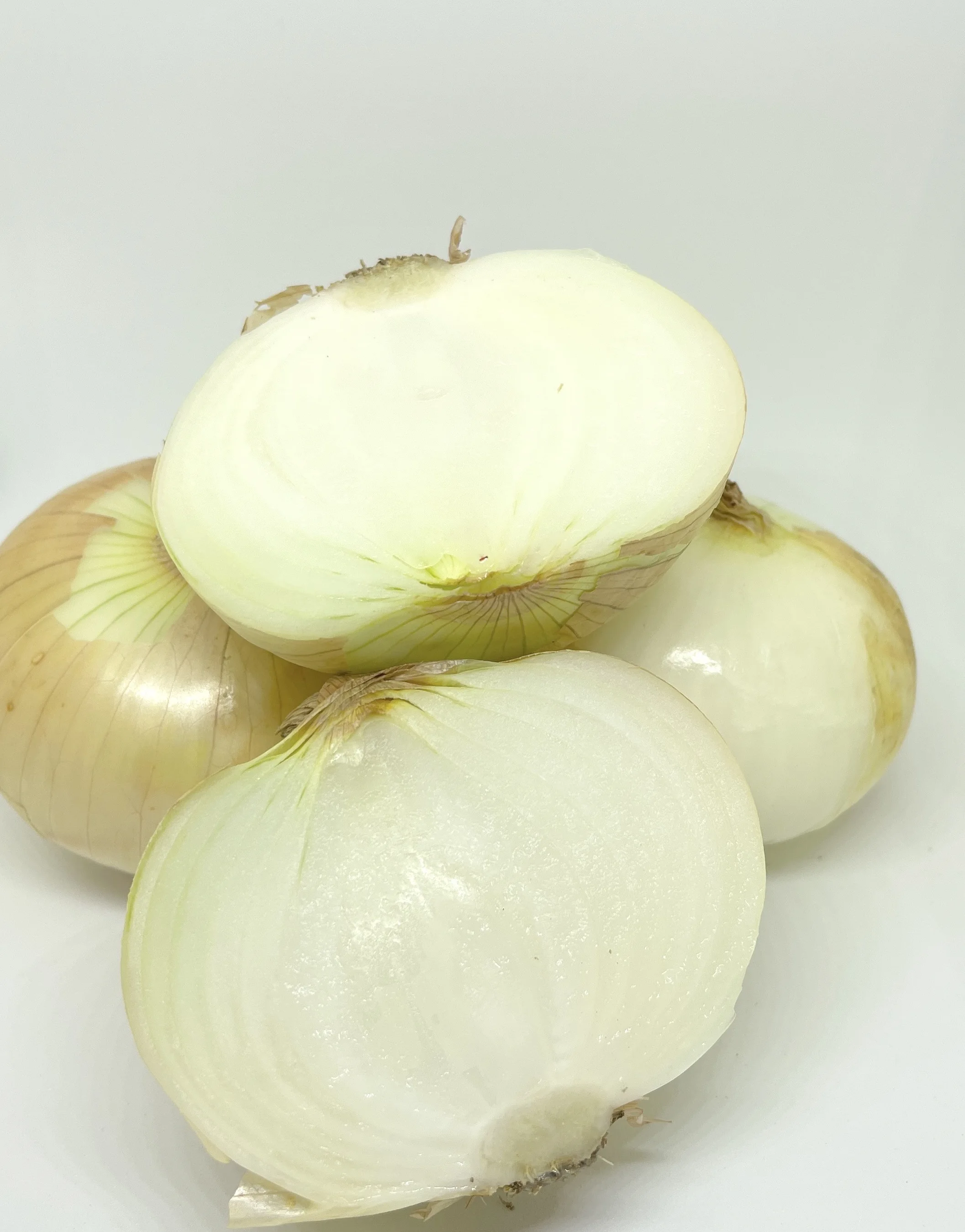 Y2022 New Crop Premium Fresh Onions direct from Thailand Farm (Premium Quality Fresh Onion) Fresh Harvest
