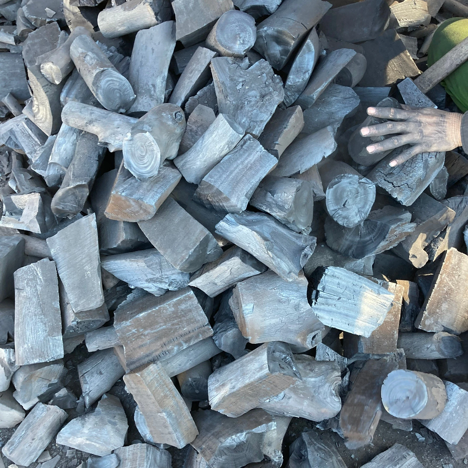 HOT SELLING HARWOOD CHARCOAL - KHAYA/XACO CHARCOAL FOR SALE WHATSAPP +84911406611