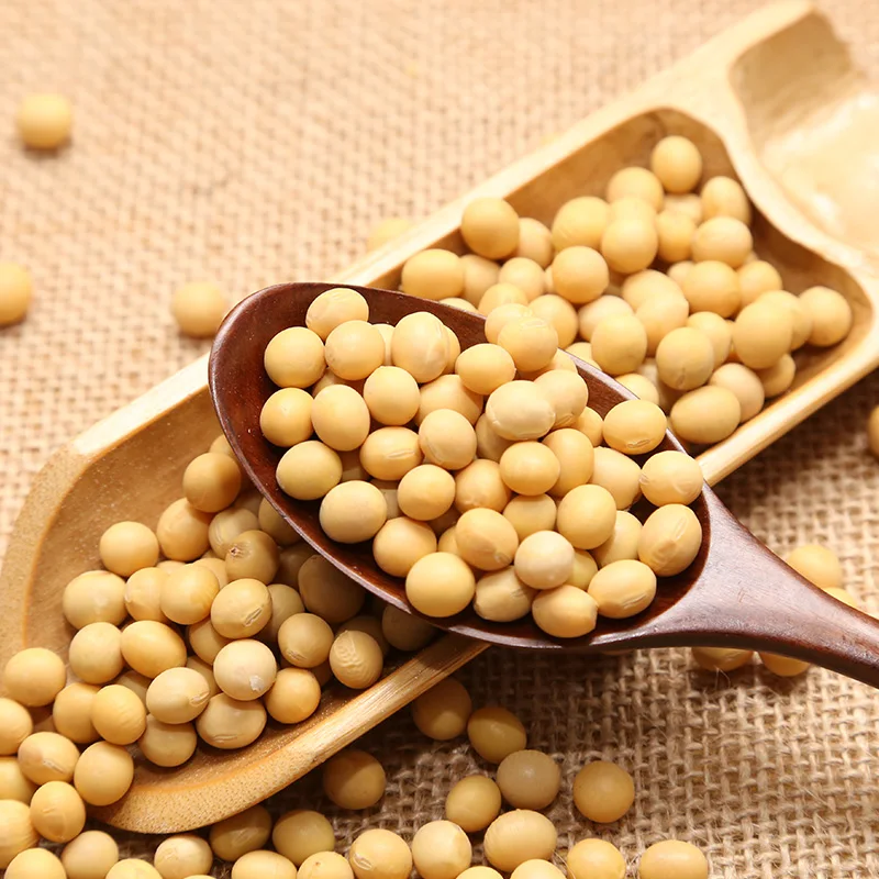  Сушеные недорогие соевые бобы без ГМО по оптовой цене