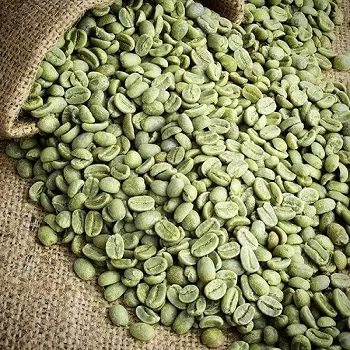 High Quality Arabica Green Coffee Beans From Cameroon with 98% Maturity