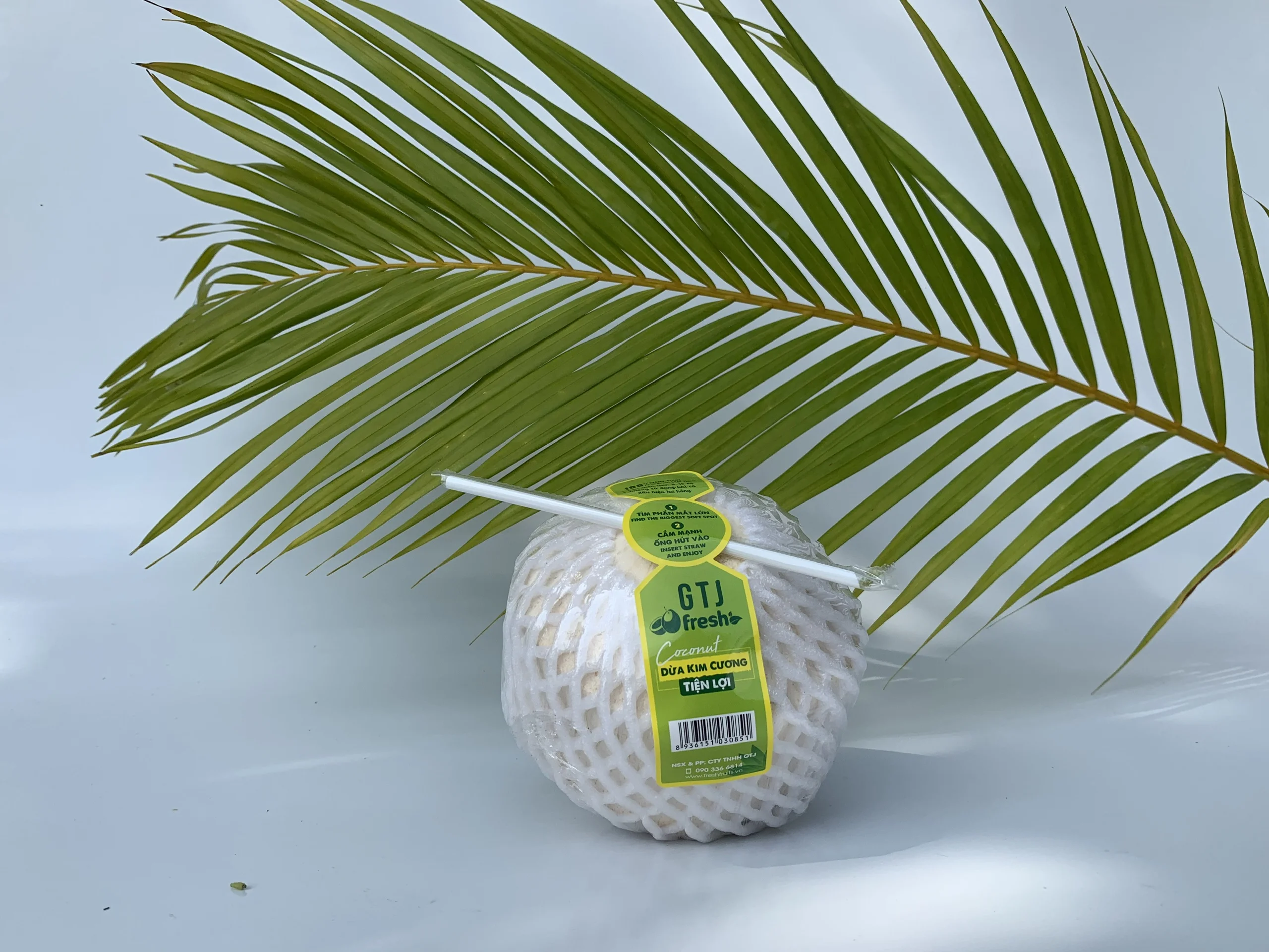 
100% fresh coconut from Mekong Delta Convenient Diamond Cut Shape Coconut exporter from Vietnam 