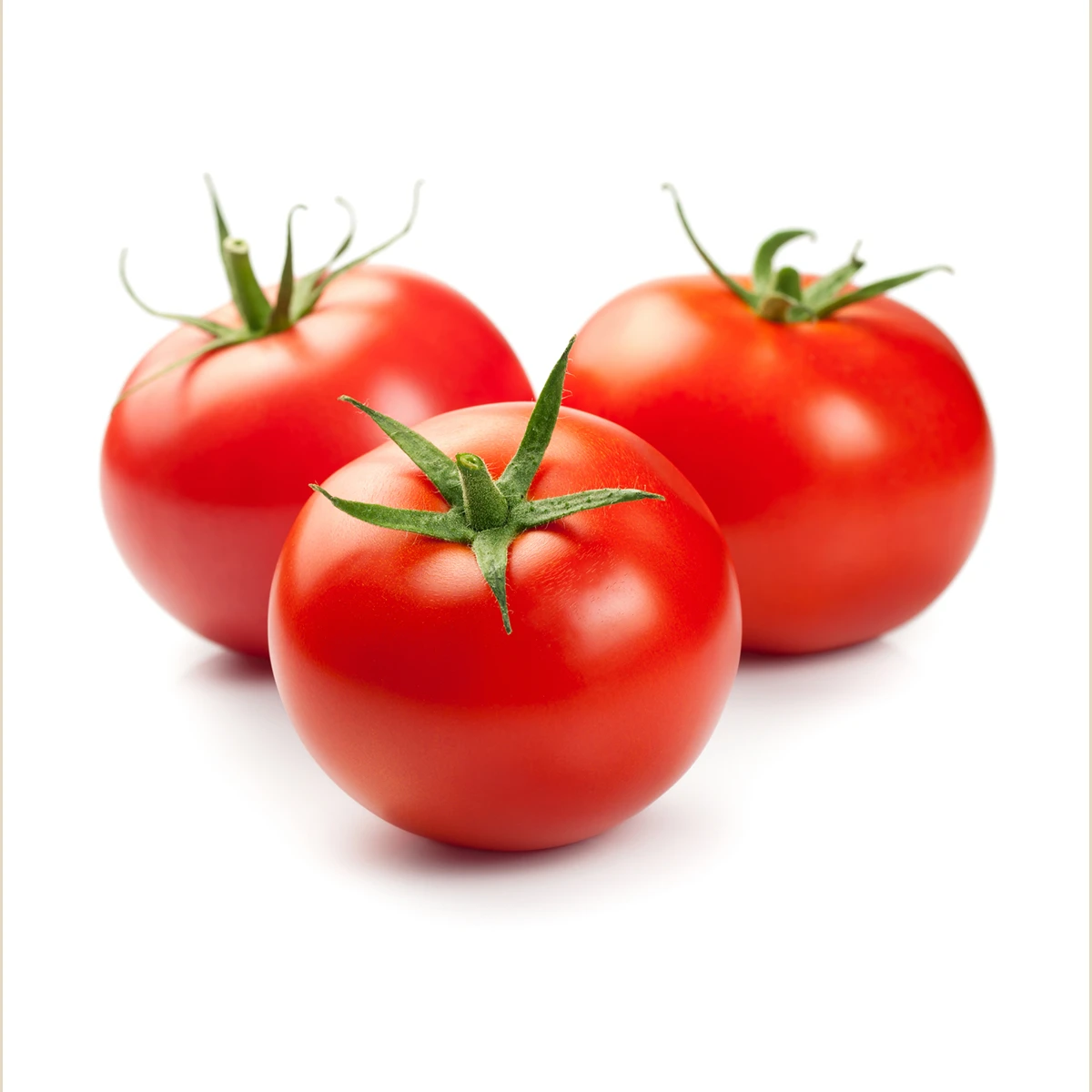 Best Red Tomato Fresh Tomato Fresh