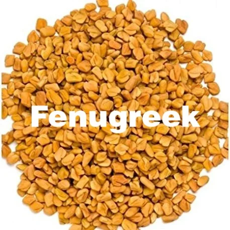 fenugreek.jpg