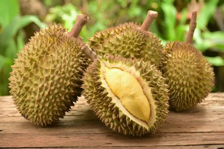 
Best seller Fresh durians Premium grade from Thailand By SP Organic International 