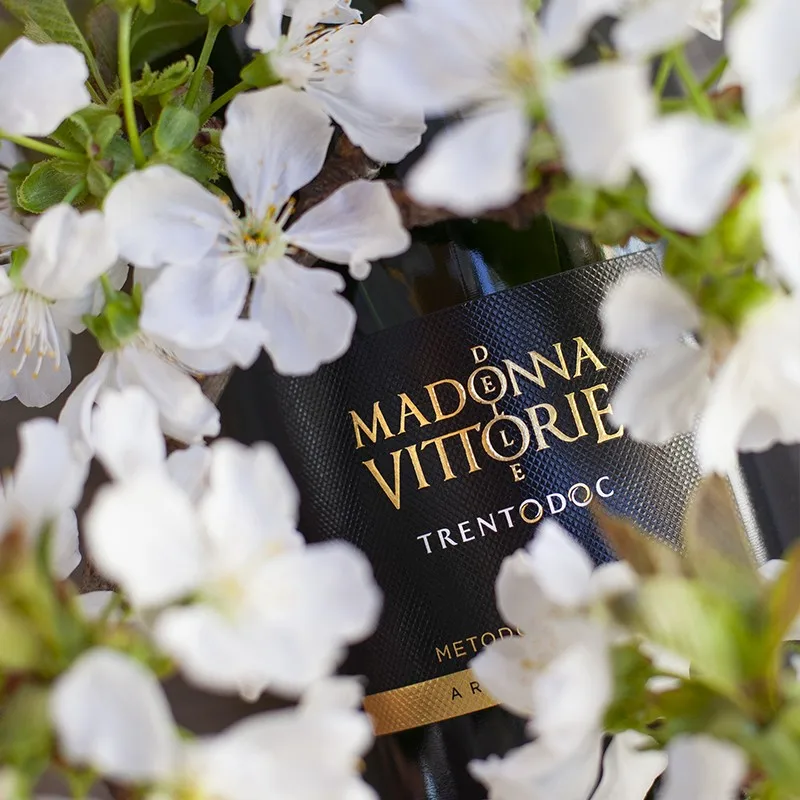 Italian high quality Spumante TRENTO DOC sparkling wine For Export