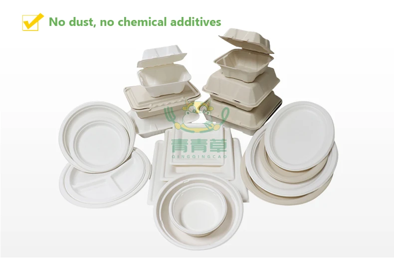 
10inch Compostable Biodegradable bagasse pulp sugarcane tableware plate bowl food tray 