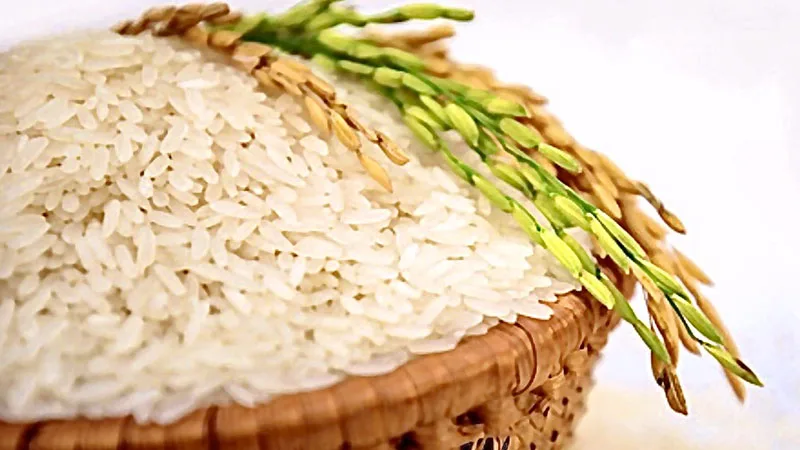 Vietnam Agricultural Top Grade Quality New Jasmine Rice With Natural Fragrant Flavor