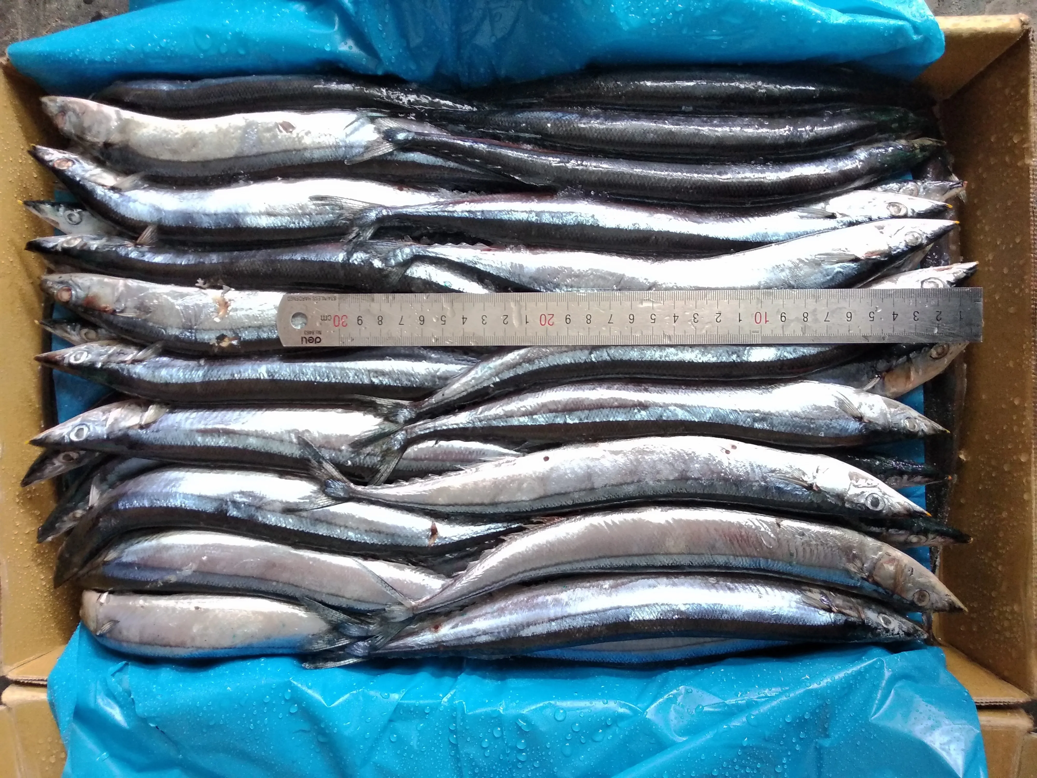 Сардины рыба сардины 425 г консервированные консервированная скумбрия поставщик консервированных тунцов