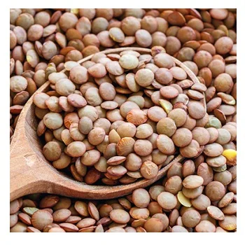 Высокое качество, линза