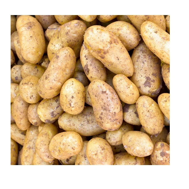 
Hot Selling Potatoes In Cheap Price Available In Pakistan 