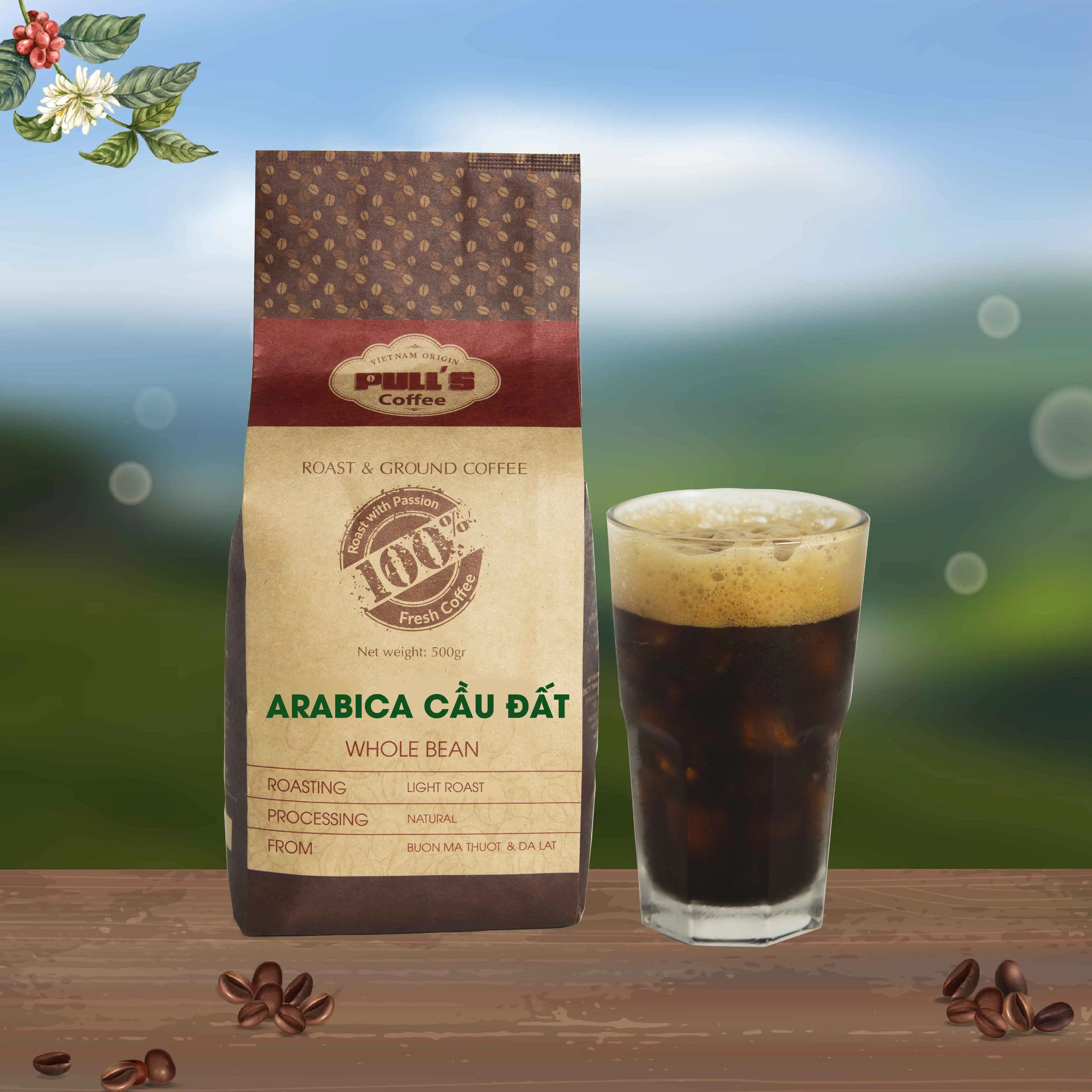 Cau Dat premium Light Roast Coffee High Quality - Arabica (500g-1kg) pack