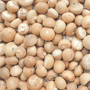 Сушеные Орехи Betel высокого